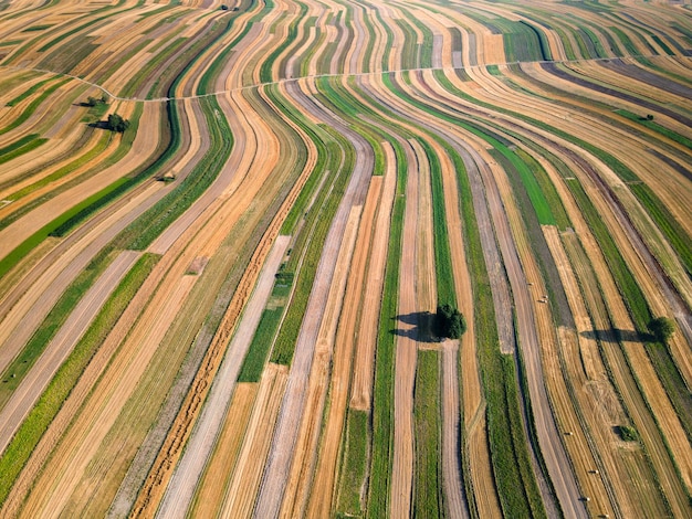 Linhas de campo coloridas na zona rural da Polônia Agricultura e Agricultura Drone View