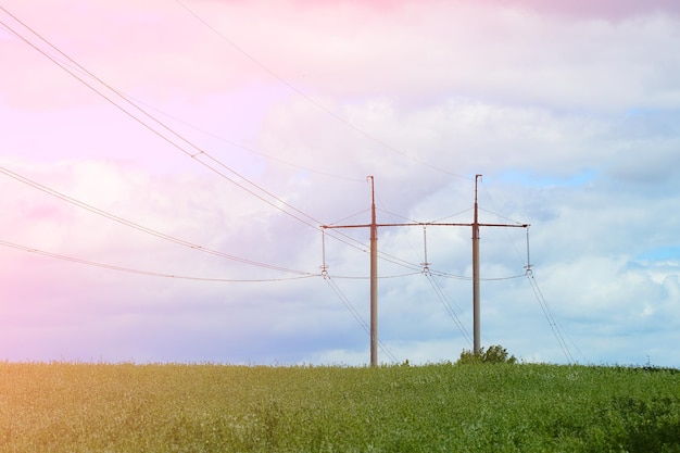 Linhas de energia elétrica entre o campo verde de verão