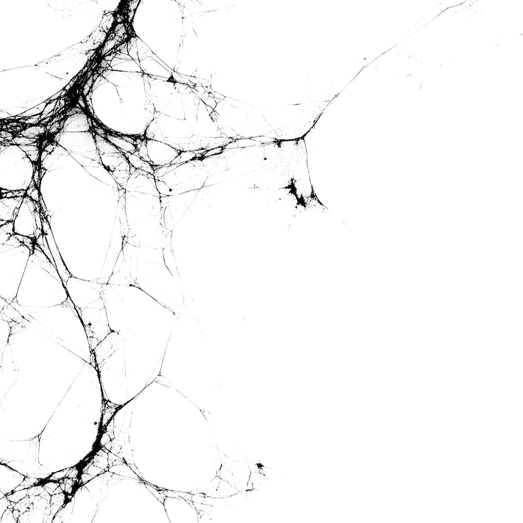 Foto linhas pretas abstratas em fundo branco perfeitas para temas de arte moderna, desenhos de papel de parede ou projetos criativos