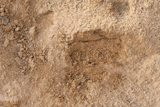 Linien im Sand eines Strandes