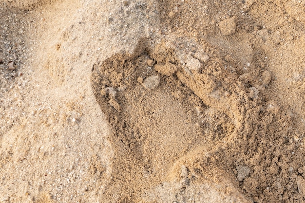 Linien im Sand eines Strandes