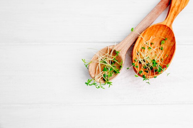 Foto lino y chia microgreens brotes en cucharas de madera aisladas en blanco