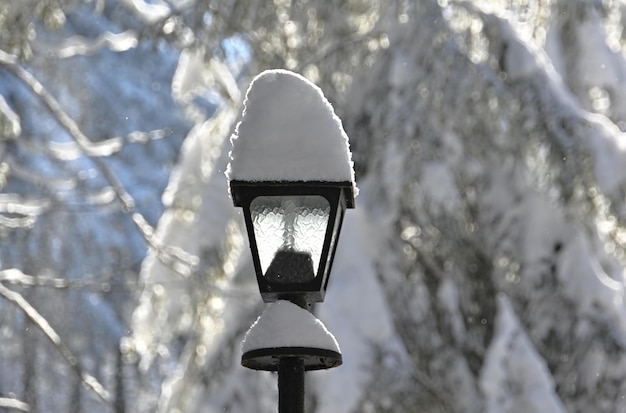 linterna en invierno