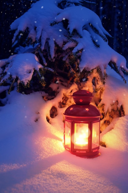 Foto linterna de navidad en el bosque debajo del árbol. linterna con una vela en la víspera de navidad.