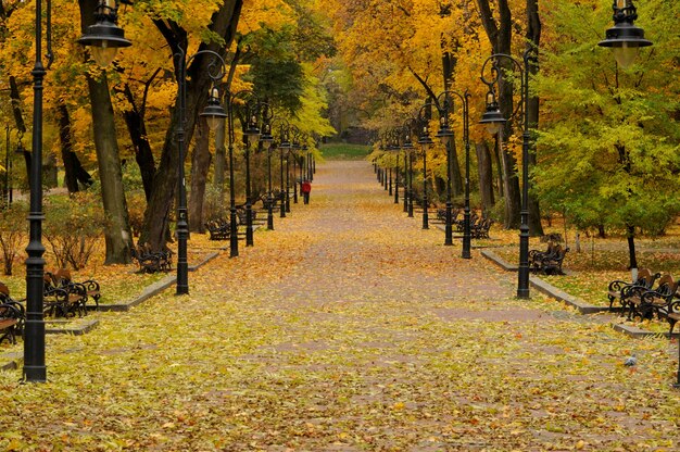 Linterna en el parque otoño