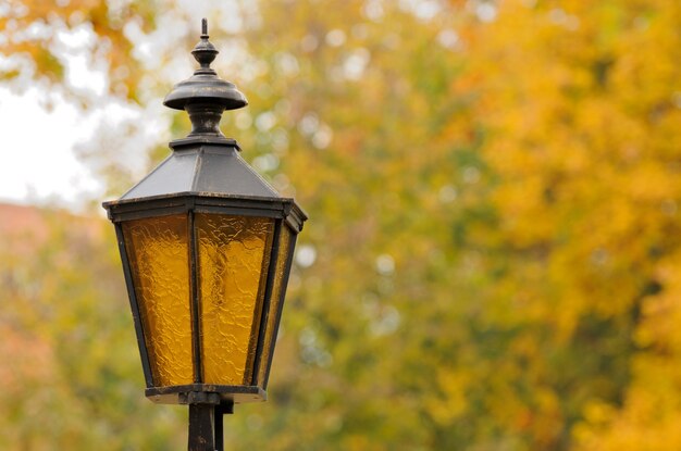 Linterna en el parque otoño