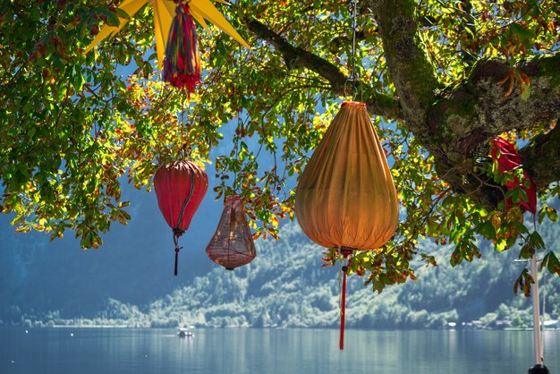 Linternas chinas colgando de un árbol en Hallstatt