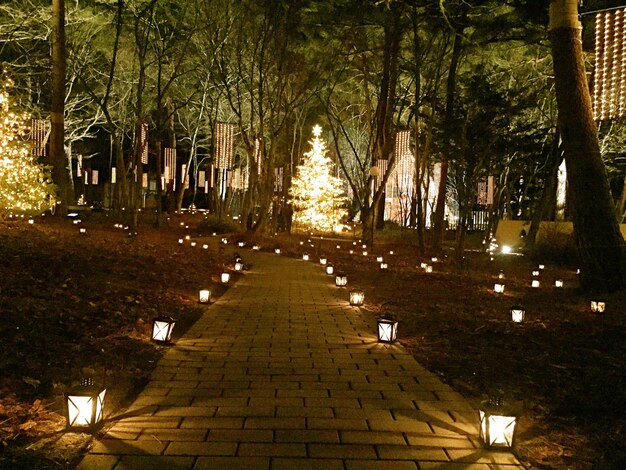 Linternas iluminadas en el sendero en el parque durante la Navidad