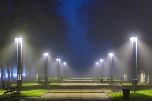 Linternas LED iluminadas callejón desierto en la noche brumosa