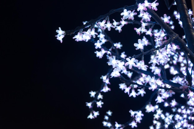 Linternas navideñas en forma de flores sobre un fondo negro para un fondo feliz de año nuevo