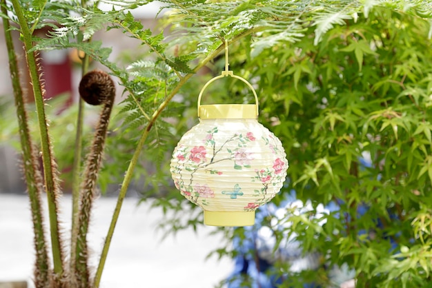 Linternas de papel decoradas colgando de un árbol