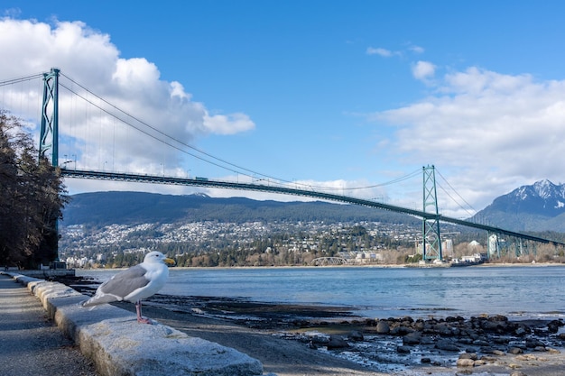 Lions Gate Bridge und Stanley Park Seawall im sonnigen Tag Vancouver British Columbia Kanada