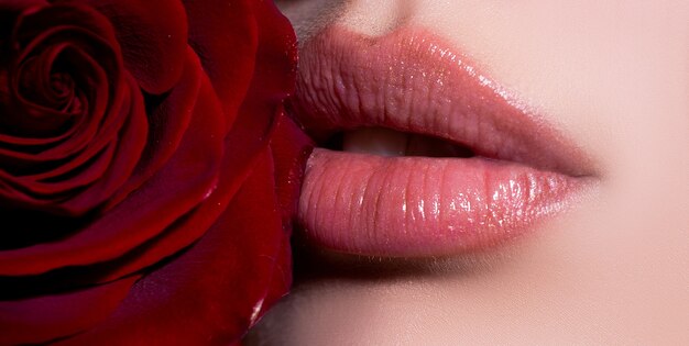 Lippen hautnah mit roter Rosenkosmetik machen Werbung für schöne weibliche perfekte rote Lippen