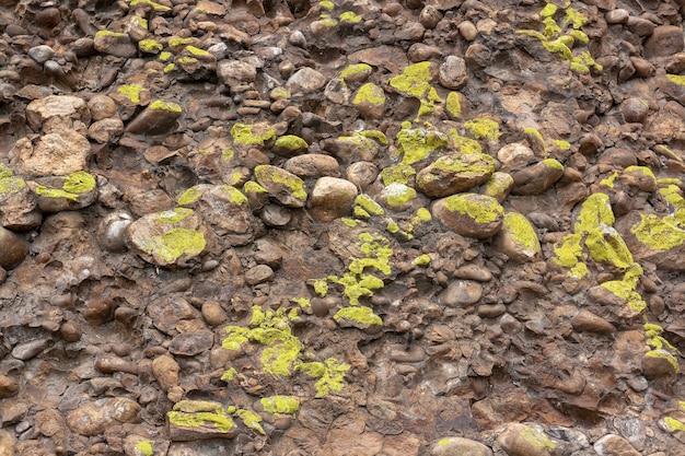 Liquen verde y musgo en una roca de pequeñas piedras marrones Horizontal