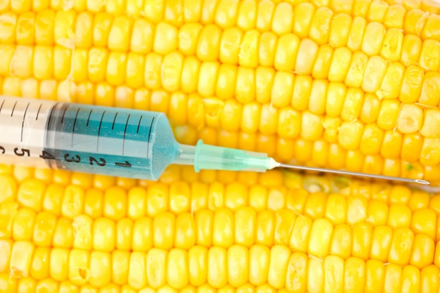 Foto líquido azul en jeringa sobre maíz