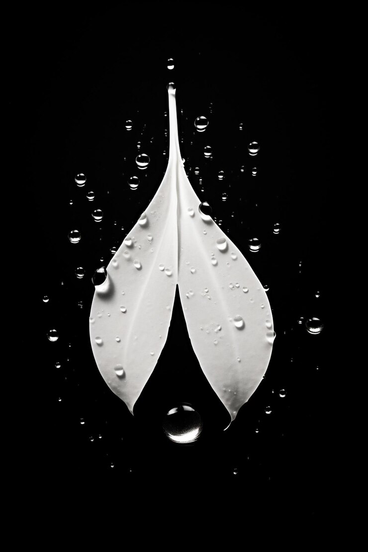 Foto líquido verde branco folha gota gota de chuva macro preto e água orvalho molhado natureza chuva closeup