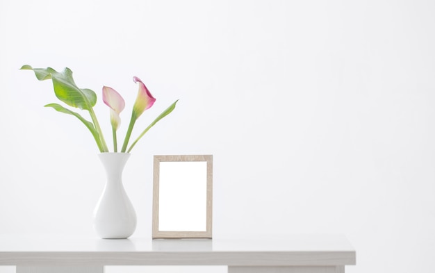 Lírio de calla rosa em um vaso em fundo branco