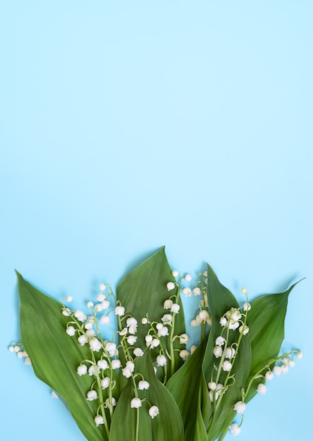 Foto lírio do vale em flor sobre fundo azul vertical. copie o espaço.