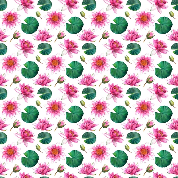 Lirios acuáticos Patrón sin costuras en acuarela con flores rosas y hojas verdes sobre fondo blanco