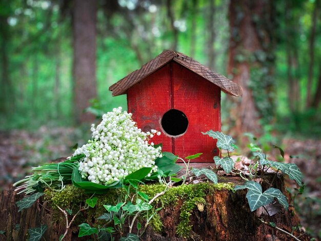 Foto lírios do vale colocados ao lado de uma casa de pássaros de madeira na floresta