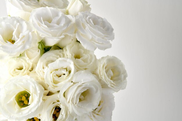 Lisianthus Schöner weißer Blumenhintergrund