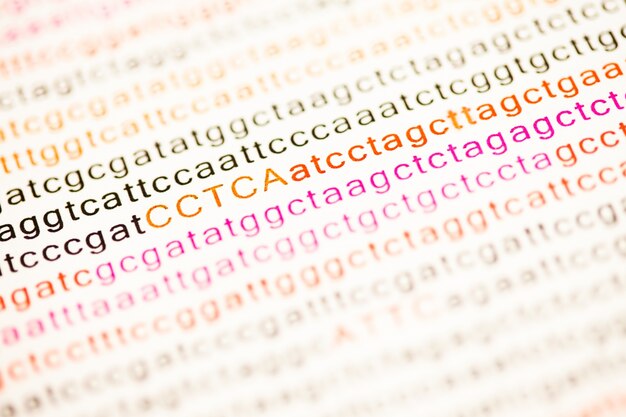 Lista de letras de análise de dna