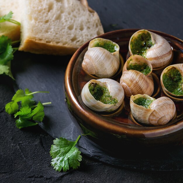 Listo para comer caracoles Escargots de Bourgogne