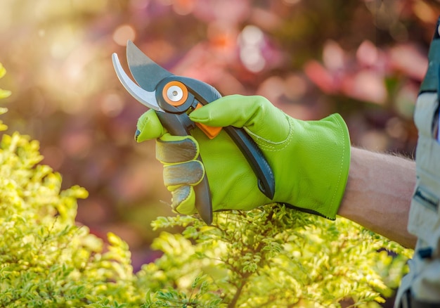 Listo para trabajos de jardín