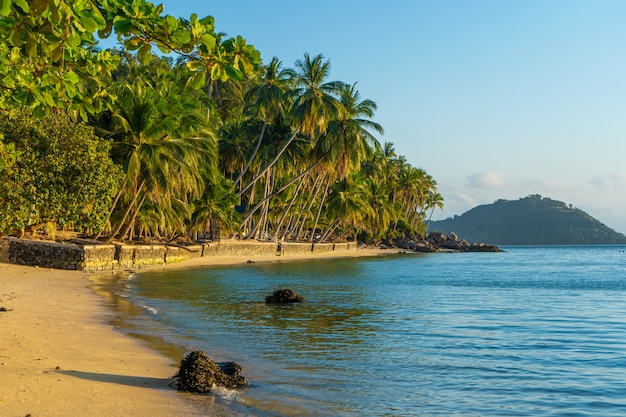 Litoral com praia de areia e palmeiras em uma ilha tropical.