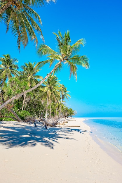 Litoral de uma ilha tropical nas Maldivas e vista do Oceano Índico