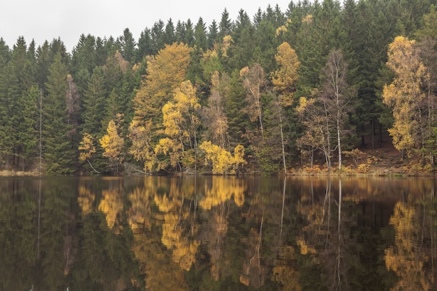 Litoral e reflexos da floresta colorida de outono na água, imagens do norte da Suécia.