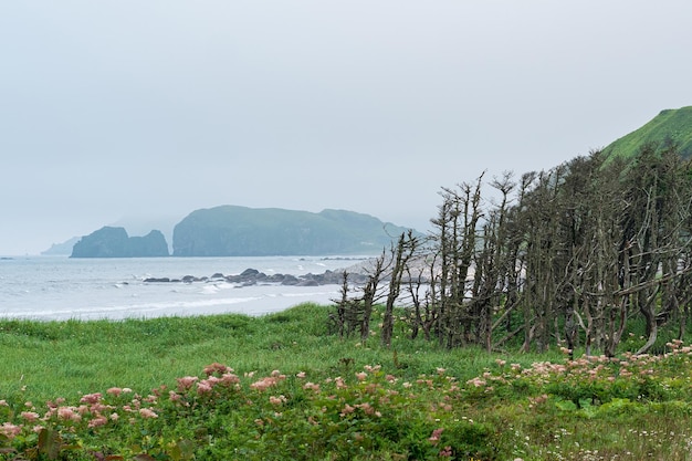 Litoral nevoento da ilha de kunashir com montanhas escondidas na neblina