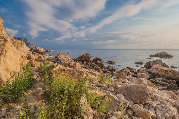 Litoral rochoso com pinheiros no céu azul e fundo do mar