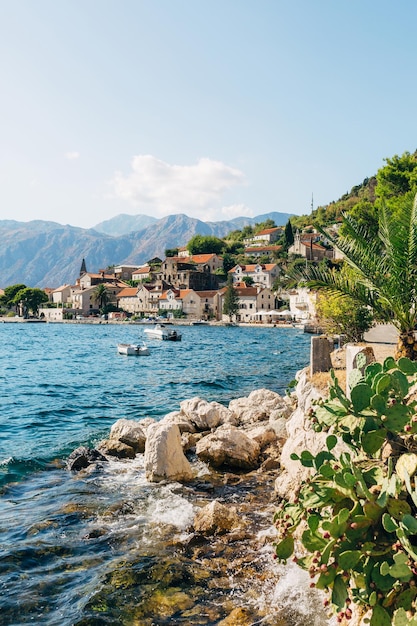 Litoral rochoso de Perast com casas antigas montenegro