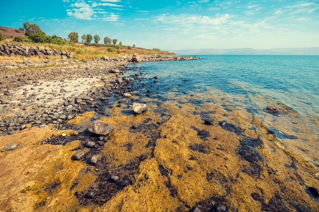 Litoral rochoso. Mar da Galiléia em Tabgha, Israel