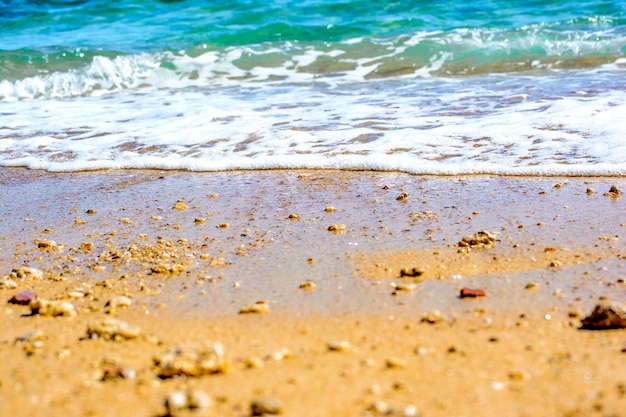 Litoral verão mar e praia