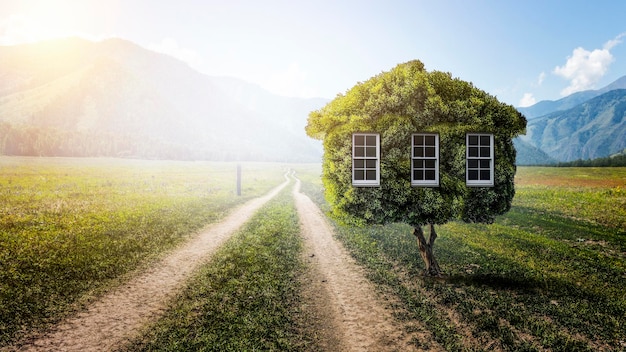 Little Eco House auf dem Konzept des grünen Grases. Gemischte Medien