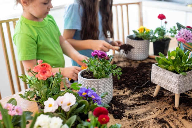 Live-Botanikunterricht in der Küche während des Homeschoolings