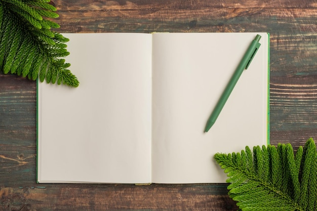 Livro aberto de vista superior com caneta verde e folha de pinheiro no fundo da mesa de madeira