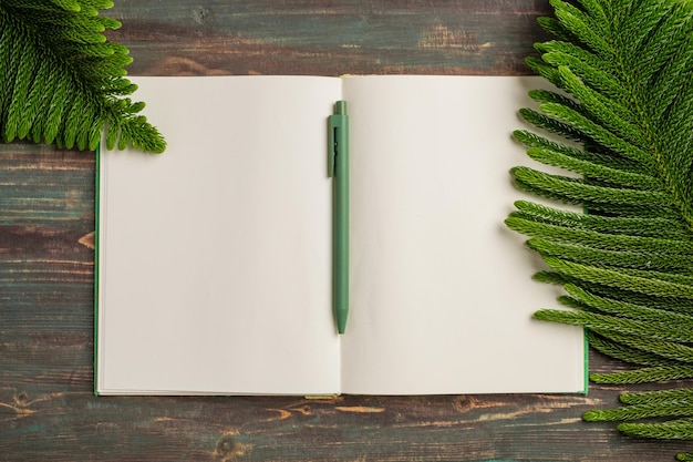 Livro aberto de vista superior com caneta verde e folha de pinheiro no fundo da mesa de madeira