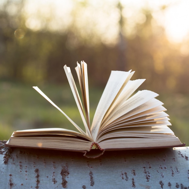 Livro aberto do conceito da educação e da sabedoria sob a luz solar