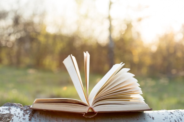 Livro aberto do conceito da educação e da sabedoria sob a luz solar