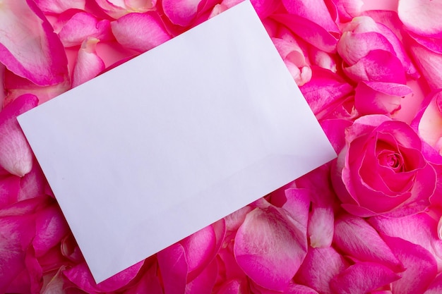 Livro branco em branco com espaço de cópia em flores e pétalas de rosa rosa aromáticas frescas