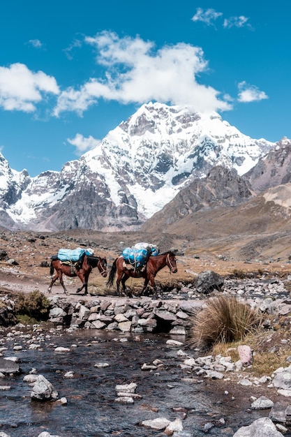 livro de fotos do ausangate nevado em cusco Peru