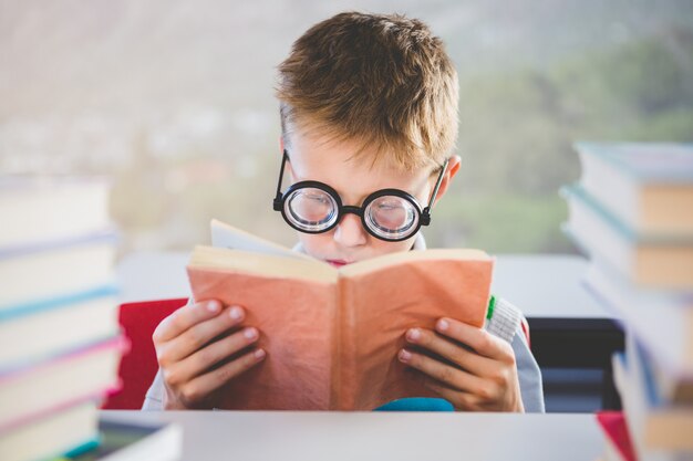 Livro de leitura do aluno em sala de aula