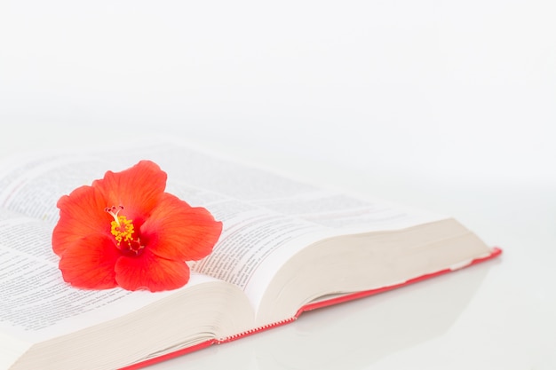 Livro e flores vermelhas na mesa de mármore branca