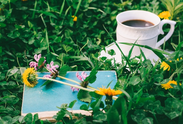 Livro velho e uma xícara de café quente em um prado verde na manhã de verão ou primavera