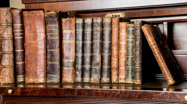 Livros antigos colocados em prateleiras de madeira