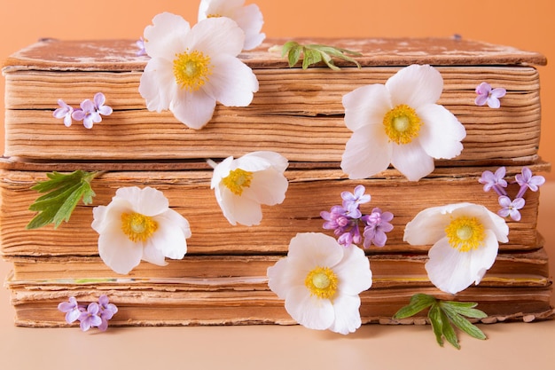 Livros antigos e lilás com anêmonas flores natureza morta composição de saudação para o dia das mães da primavera ou 8 de março