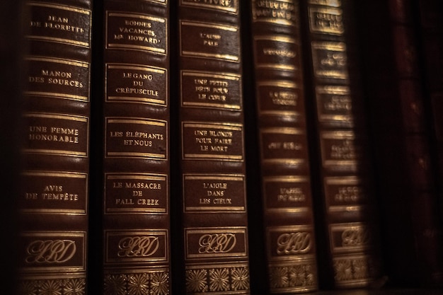 Livros de capa dura em uma prateleira com pouca iluminação Letras douradas nas lombadas do livro Coleção de livros